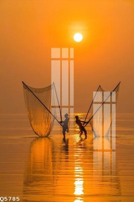 File in trần File gốc in tranh tổng hợp Q5785 (bản gốc 3D) sống động