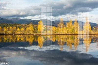 File tranh File gốc in tranh tổng hợp Q5847 (bản gốc) treo tường