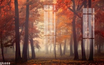 File in mica File gốc in tranh tổng hợp Q5888 (bản gốc) siêu trong