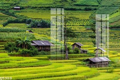 Download file File gốc in tranh tổng hợp Q5909 (gốc) in mica cao cấp