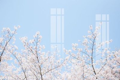 Tải file File gốc in tranh tổng hợp Q5930 (gốc) làm file in ấn