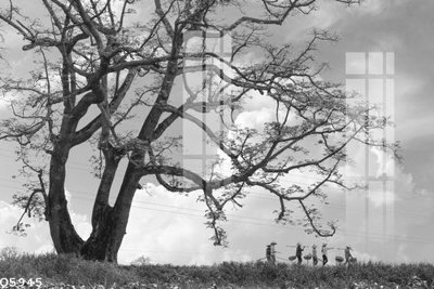 Mua file gốc File gốc in tranh tổng hợp Q5945 (in ấn) tại Filetranh.com