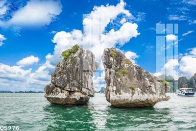 Tải file tranh File gốc in tranh tổng hợp Q5976 (gốc) tại Filetranh.com