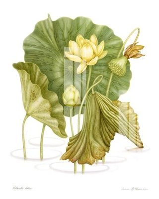 File tranh File gốc in tranh tổng hợp Q6289 (ảnh gốc) độc quyền