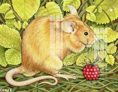 File gốc in ấn File gốc in tranh tổng hợp Q6484 (sẵn sàng tải về)