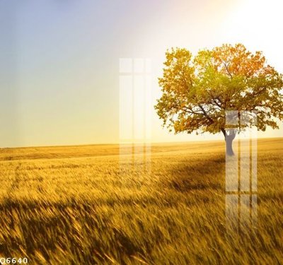 Tải file File gốc in tranh tổng hợp Q6640 (ảnh gốc) độ phân giải 300dpi