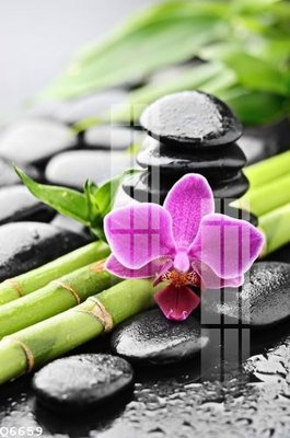 File gốc in ấn File gốc in tranh tổng hợp Q6659 chất lượng vượt trội