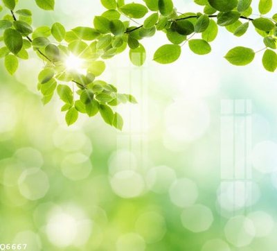 Tải file gốc File gốc in tranh tổng hợp Q6667 dùng cho in ấn