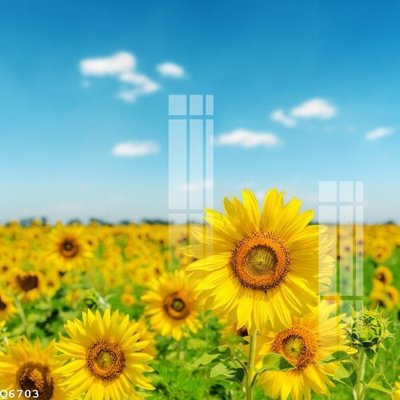 Tải về file gốc File gốc in tranh tổng hợp Q6703 (dùng cho in quảng cáo)