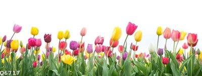 Chi tiết file ảnh File gốc in tranh tổng hợp Q6717 sắc nét