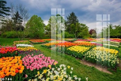 Tải file File gốc in tranh tổng hợp Q6744 (ảnh gốc) file AI/EPS