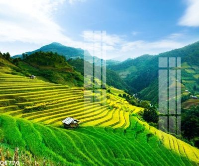 File gốc File gốc in tranh tổng hợp Q6770 (phong cách) cổ điển