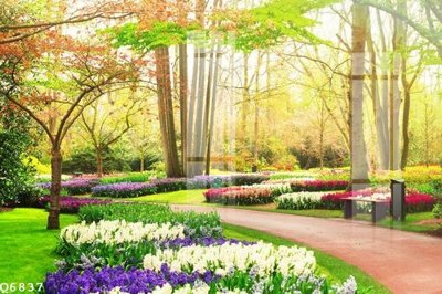 File tranh trang trí File gốc in tranh tổng hợp Q6837 (tải file gốc)