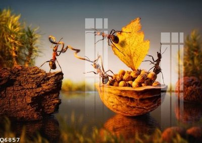 Tải xuống file tranh gốc File gốc in tranh tổng hợp Q6857 (PSD/TIFF)