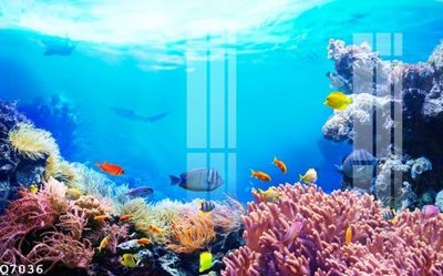 File tranh in trần 3D File gốc in tranh tổng hợp Q7036 (ảnh gốc)