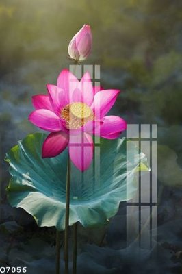 Tải file gốc File gốc in tranh tổng hợp Q7056 (in khổ lớn) không mờ