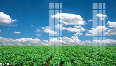 File gốc File gốc in tranh tổng hợp Q7105 (trang trí) cho phòng khách