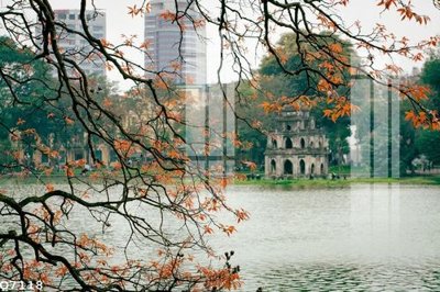 File ảnh File gốc in tranh tổng hợp Q7118 (gốc) in standee