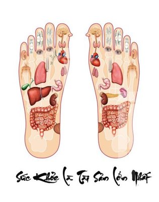 File tranh File gốc in tranh tổng hợp Q7183 (gốc) in vải canvas