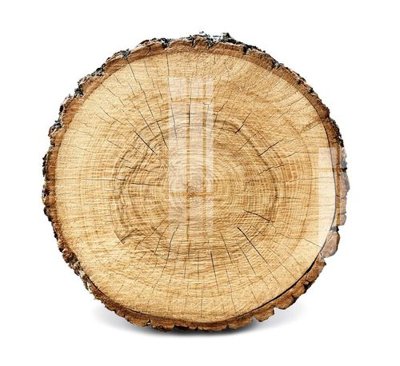 File gốc File gốc in tranh tổng hợp Q8342 (trang trí) phòng ngủ