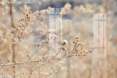 File in lụa File gốc in tranh tổng hợp Q8349 (phong cảnh) File gốc in tranh tổng hợp Q8349