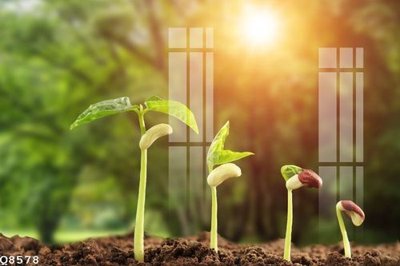 File gốc File gốc in tranh tổng hợp Q8578 (in tráng gương) nghệ thuật