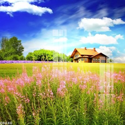 File tranh File gốc in tranh tổng hợp Q8686 (ảnh gốc) không bị mờ