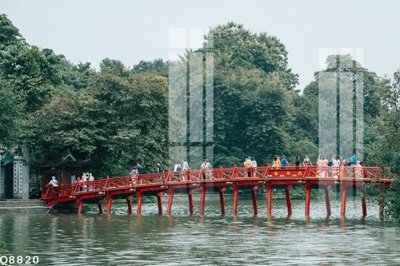 File ảnh File gốc in tranh tổng hợp Q8820 (gốc) in PP, decal