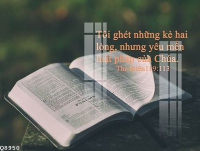 File tranh File gốc in tranh tổng hợp Q8950 (ảnh gốc) in trần 3D