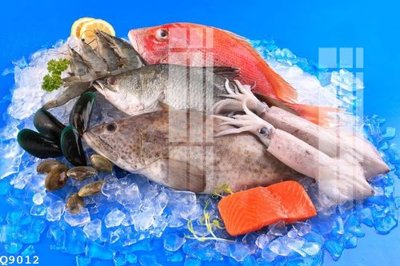 File in mica File gốc in tranh tổng hợp Q9012 (bản gốc) siêu trong