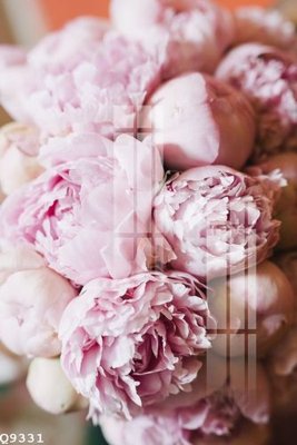 File in mica File gốc in tranh tổng hợp Q9331 (bản gốc) siêu trong