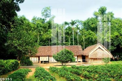 Tải file tranh File gốc in tranh tổng hợp Q9351 (ảnh gốc) ngay