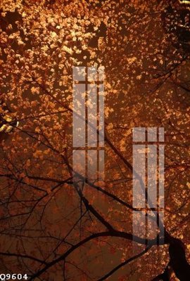 Download file tranh PSD File gốc in tranh tổng hợp Q9604 để chỉnh sửa