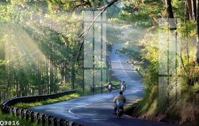 Cung cấp file tranh gốc File gốc in tranh tổng hợp Q9816 độc quyền