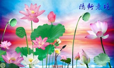 File in trần Tranh cửu ngư quần hội sen cá S195 (bản gốc) mây trời