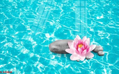 File tranh PSD Tranh hoa sen cá cửu ngư quần hội S3088 chất lượng cao