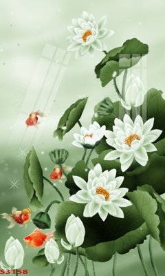 Download file Tranh hoa sen cá cửu ngư quần hội S3158 (chất lượng in ấn)