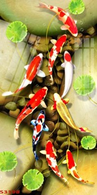 File PSD Tranh hoa sen cá cửu ngư quần hội S3198 (bản gốc) độ phân giải cao