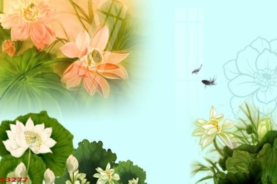 File in trần Tranh hoa sen cá cửu ngư quần hội S3277 (file gốc) xuyên sáng