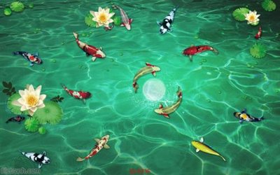 File tranh Tranh cửu ngư quần hội sen cá S335 (gốc) chủ đề tĩnh vật