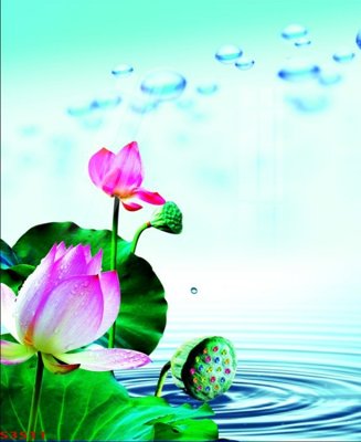 Download file gốc Tranh hoa sen cá cửu ngư quần hội S3511 (độ nét cao)