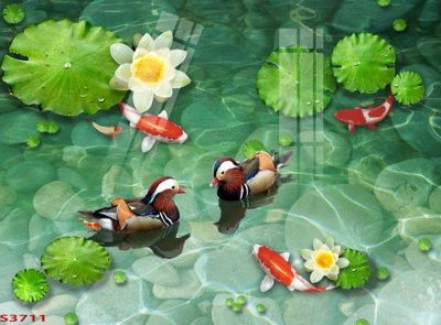 Hình ảnh file gốc in trần nhà Tranh hoa sen cá cửu ngư quần hội S3711