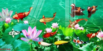 File PSD Tranh hoa sen cá cửu ngư quần hội S3720 (gốc) tách lớp chi tiết