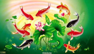 File in lụa Tranh cửu ngư quần hội sen cá S386 (chất lượng cao) Tranh cửu ngư quần hội sen cá S386