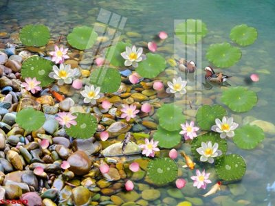 File gốc Tranh hoa sen cá cửu ngư quần hội S3860 (in 3D) nghệ thuật