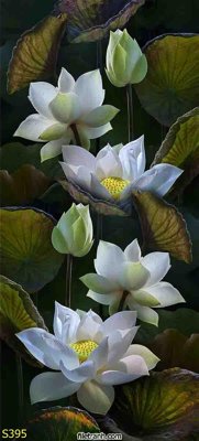 File tranh PSD Tranh cửu ngư quần hội sen cá S395 chất lượng cao