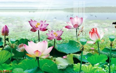 File tranh trang trí Tranh hoa sen cá cửu ngư quần hội S3952 (tải file gốc)