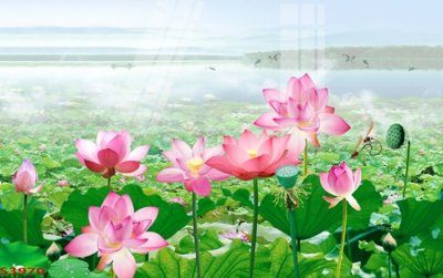 Tải file gốc Tranh hoa sen cá cửu ngư quần hội S3970 dùng cho in ấn