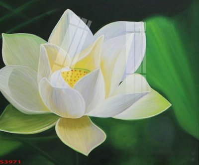 File in ấn cao cấp Tranh hoa sen cá cửu ngư quần hội S3971 (file gốc)