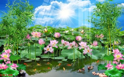 Hình ảnh file gốc in lụa Tranh hoa sen cá cửu ngư quần hội S4148